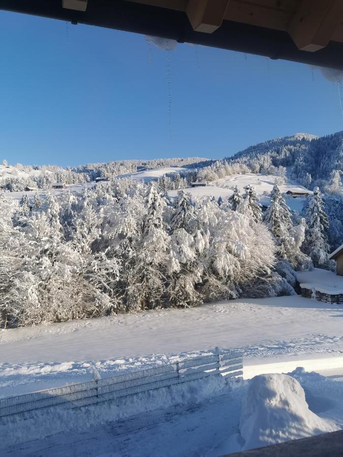 Living Apartment_2 Hittisau Εξωτερικό φωτογραφία
